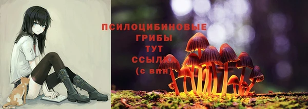 мдма Белокуриха