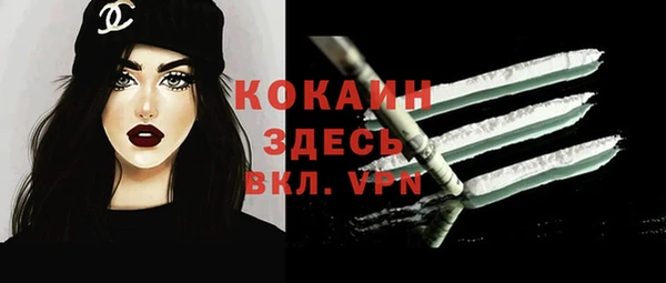 прущие грибы Аша