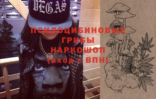 бошки Бронницы